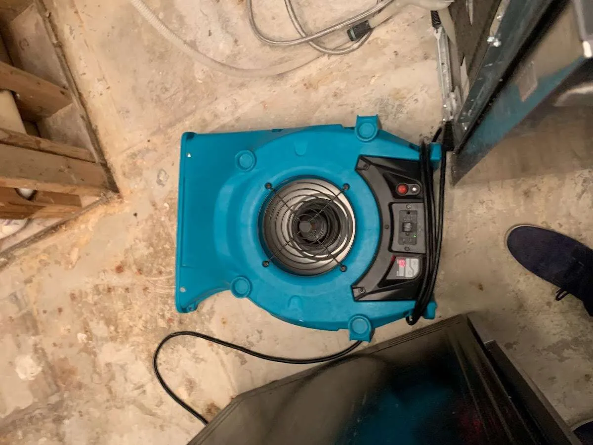 Air mover drying equipment for Mold Remediation & Removal in Pella